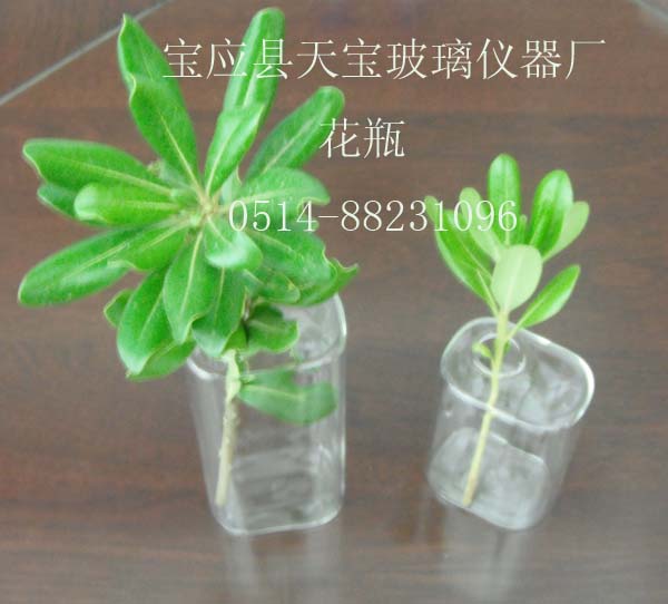 高硼硅四方玻璃花瓶 高硼硅四方玻璃花瓶