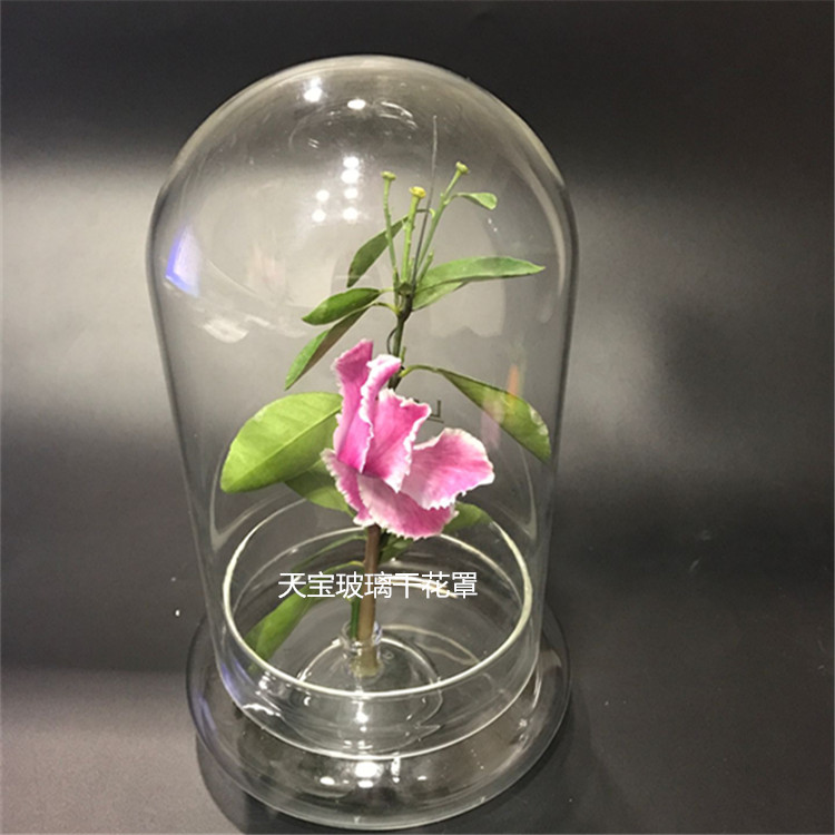 干花玻璃罩 干花玻璃罩